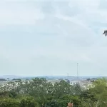 Qualidade do ar em Manaus chega a nível péssimo após fumaça de queimadas encobrir a cidade