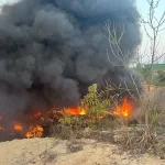 Incêndios criminosos no Amazonas podem gerar multa de R$ 10 mil por hectare