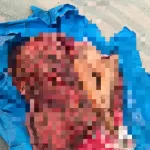 Corpo esquartejado enrolado em lona é deixado com recado de facção na Zona Leste de Manaus