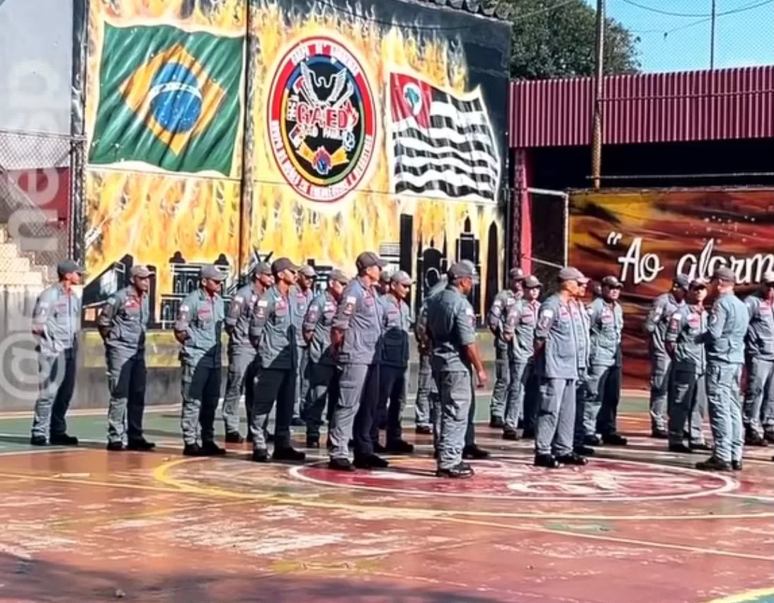Governo de São Paulo envia 30 agentes para ajudar a combater queimadas no Amazonas