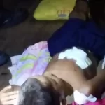 Criança é mordida por jacaré em comunidade rural no Amazonas