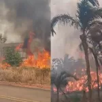 Queimadas no Amazonas: R$ 235 milhões em multas e só duas prisões, diz governo